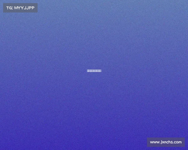 公园排球赛事有哪些